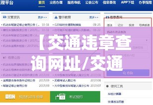 【交通违章查询网址/交通违章网站查询】