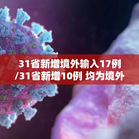31省新增境外输入17例/31省新增10例 均为境外输入