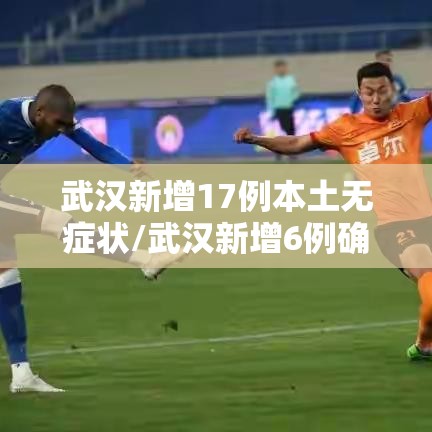 武汉新增17例本土无症状/武汉新增6例确诊病例,10例无症状感染者 ,活动轨迹公布