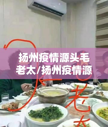 扬州疫情源头毛老太/扬州疫情源头毛老太照片