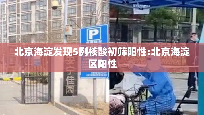 北京海淀发现5例核酸初筛阳性:北京海淀区阳性