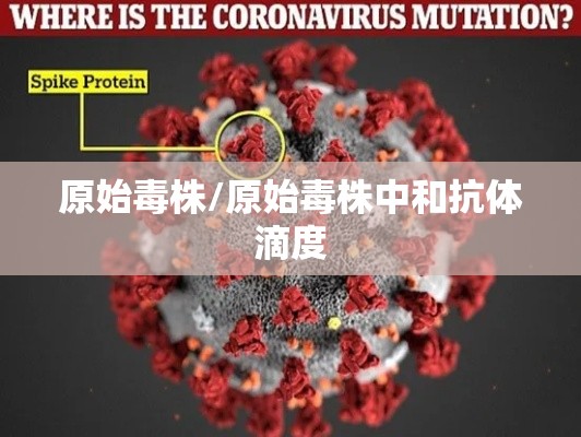 原始毒株/原始毒株中和抗体滴度 原始毒株/原始毒株中和抗体滴度