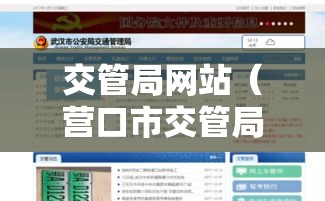 交管局网站（营口市交管局网站）