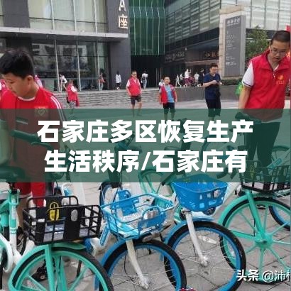 石家庄多区恢复生产生活秩序/石家庄有序恢复生产
