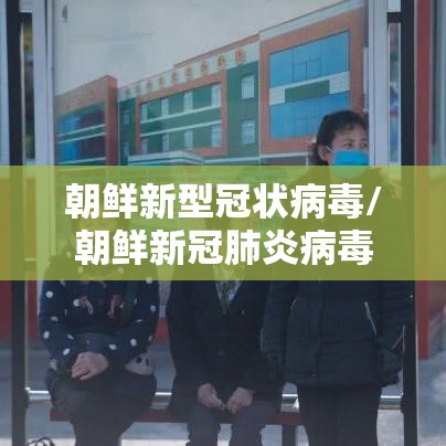 31省新增确诊24例其中本土8例/31省份新增确诊22例 其中本土9例