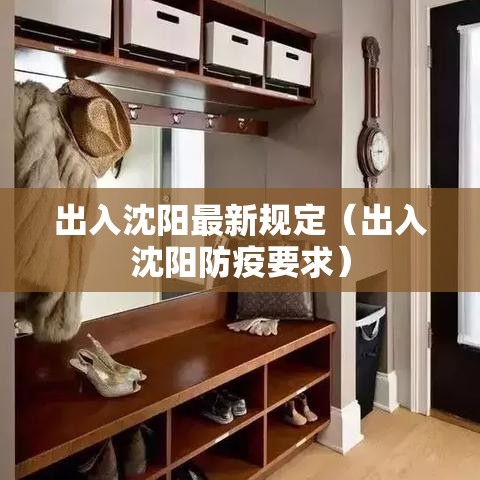 出入沈阳最新规定（出入沈阳防疫要求）