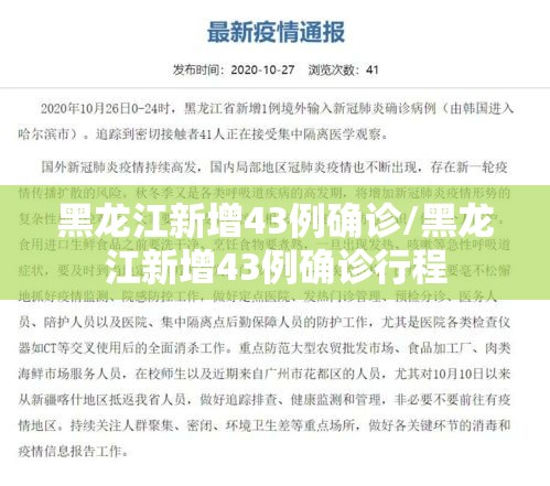 黑龙江新增43例确诊/黑龙江新增43例确诊行程