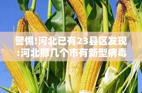 警惕!河北已有23县区发现:河北那几个市有新型病毒感染了