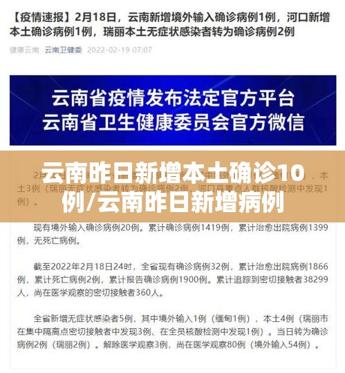 云南昨日新增本土确诊10例/云南昨日新增病例