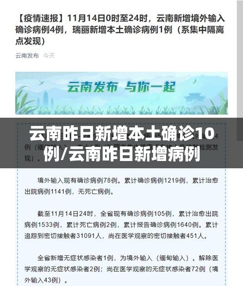 云南昨日新增本土确诊10例/云南昨日新增病例