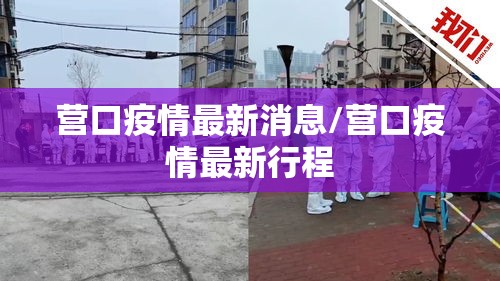 营口疫情最新消息/营口疫情最新行程