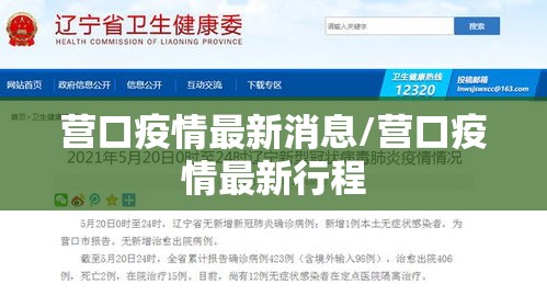 营口疫情最新消息/营口疫情最新行程