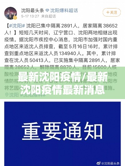 最新沈阳疫情/最新沈阳疫情最新消息