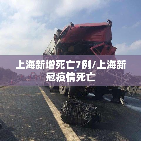 上海新增死亡7例/上海新冠疫情死亡 上海新增死亡7例/上海新冠疫情死亡