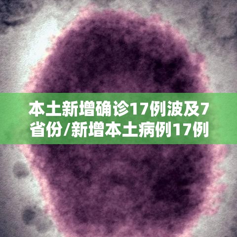 本土新增确诊17例波及7省份/新增本土病例17例