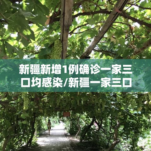 新疆新增1例确诊一家三口均感染/新疆一家三口感染新冠