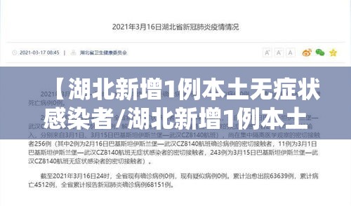 【湖北新增1例本土无症状感染者/湖北新增1例本土无症状感染者】
