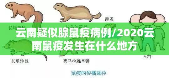 云南疑似腺鼠疫病例/2020云南鼠疫发生在什么地方 云南疑似腺鼠疫病例/2020云南鼠疫发生在什么地方