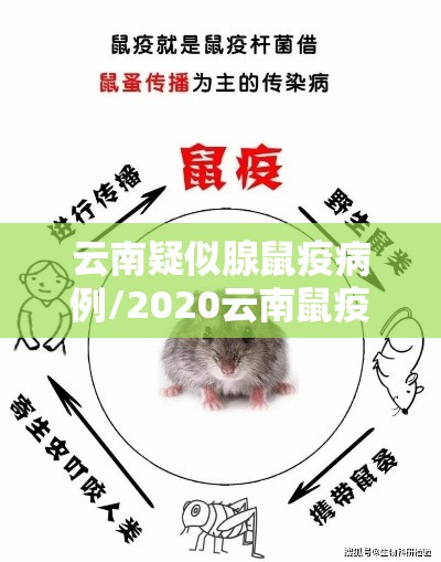 云南疑似腺鼠疫病例/2020云南鼠疫发生在什么地方 云南疑似腺鼠疫病例/2020云南鼠疫发生在什么地方