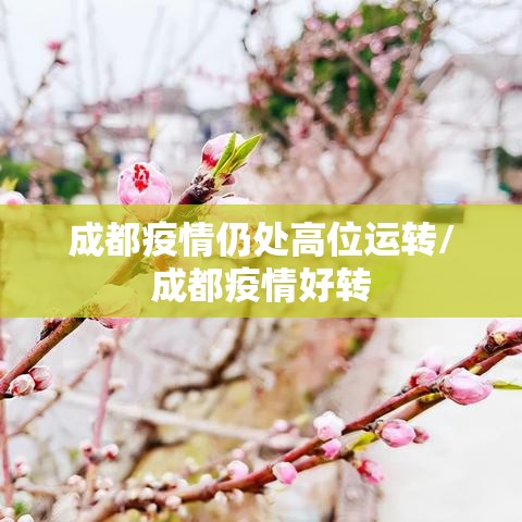 成都疫情仍处高位运转/成都疫情好转