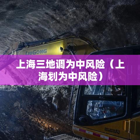 上海三地调为中风险（上海划为中风险）