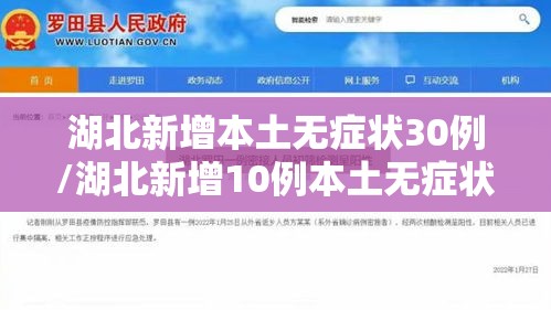湖北新增本土无症状30例/湖北新增10例本土无症状