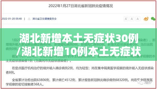 湖北新增本土无症状30例/湖北新增10例本土无症状