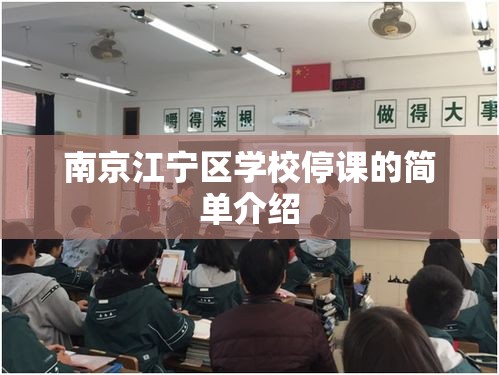 南京江宁区学校停课的简单介绍