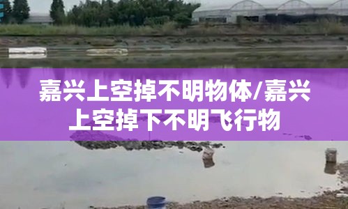 嘉兴上空掉不明物体/嘉兴上空掉下不明飞行物