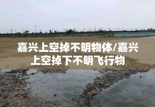 嘉兴上空掉不明物体/嘉兴上空掉下不明飞行物