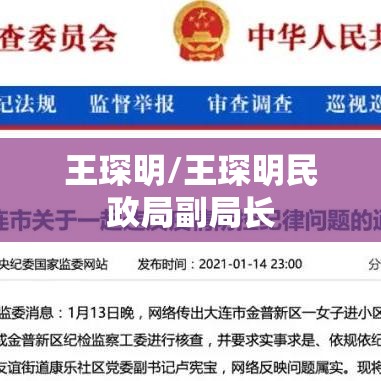 王琛明/王琛明民政局副局长