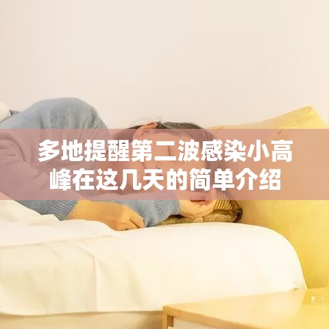 多地提醒第二波感染小高峰在这几天的简单介绍