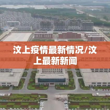 汶上疫情最新情况/汶上最新新闻