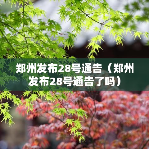 郑州发布28号通告（郑州发布28号通告了吗）