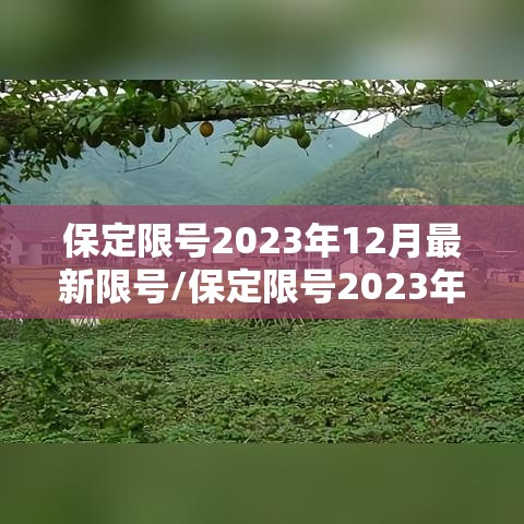保定限号2023年12月最新限号/保定限号2023年12月最新限号查询
