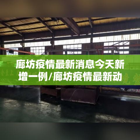 廊坊疫情最新消息今天新增一例/廊坊疫情最新动态
