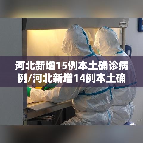 河北新增15例本土确诊病例/河北新增14例本土确诊病例行程
