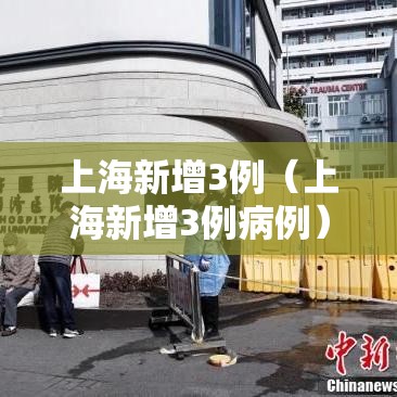 上海新增3例（上海新增3例病例）
