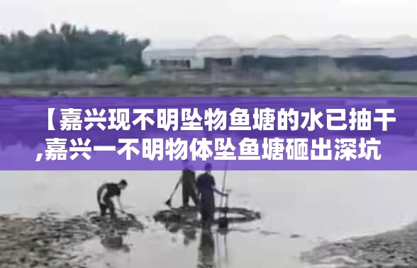 【嘉兴现不明坠物鱼塘的水已抽干,嘉兴一不明物体坠鱼塘砸出深坑】