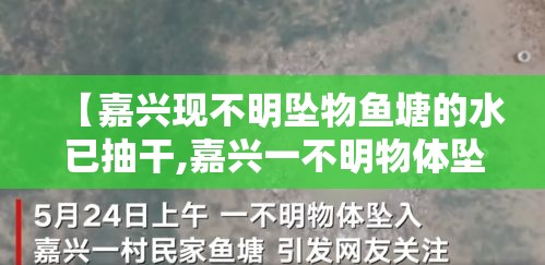 【嘉兴现不明坠物鱼塘的水已抽干,嘉兴一不明物体坠鱼塘砸出深坑】