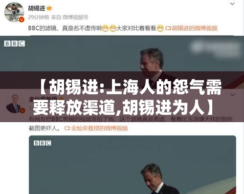 【胡锡进:上海人的怨气需要释放渠道,胡锡进为人】