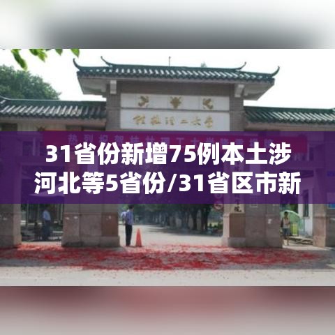31省份新增75例本土涉河北等5省份/31省区市新增确诊33例 含本土17例河北