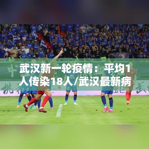 武汉新一轮疫情：平均1人传染18人/武汉最新病例人数