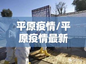 平原疫情/平原疫情最新消息新增2例