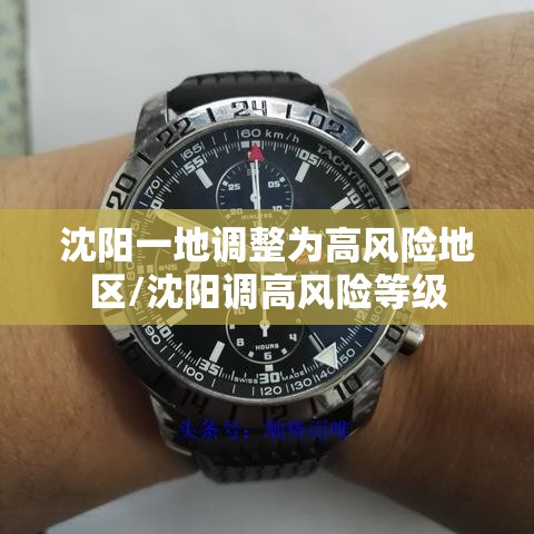 沈阳一地调整为高风险地区/沈阳调高风险等级 沈阳一地调整为高风险地区/沈阳调高风险等级