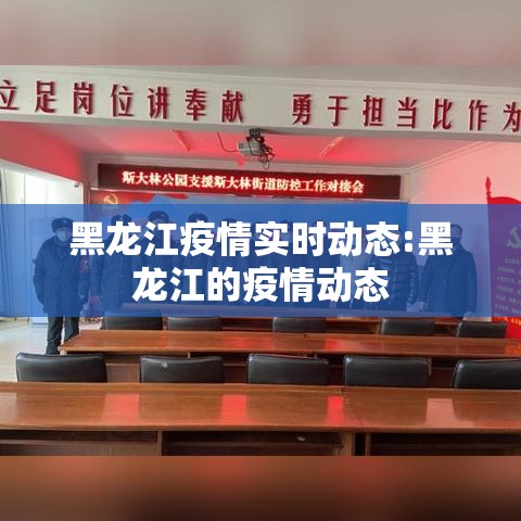 黑龙江疫情实时动态:黑龙江的疫情动态