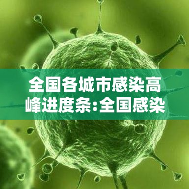 全国各城市感染高峰进度条:全国感染分布图