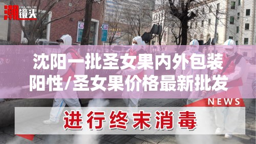 沈阳一批圣女果内外包装阳性/圣女果价格最新批发价