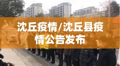 沈丘疫情/沈丘县疫情公告发布