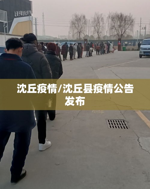 沈丘疫情/沈丘县疫情公告发布
